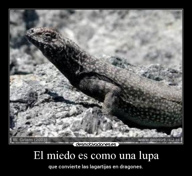 El miedo es como una lupa - que convierte las lagartijas en dragones. 