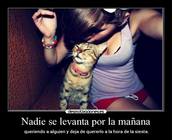 Nadie se levanta por la mañana - 