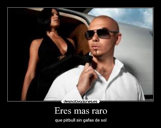 Eres mas raro - que pitbull sin gafas de sol