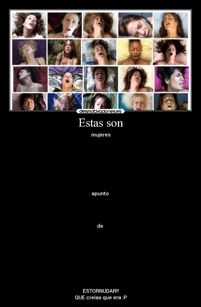 Estas son - mujeres








apunto 




de 









ESTORNUDAR!!
QUE creías que era :P