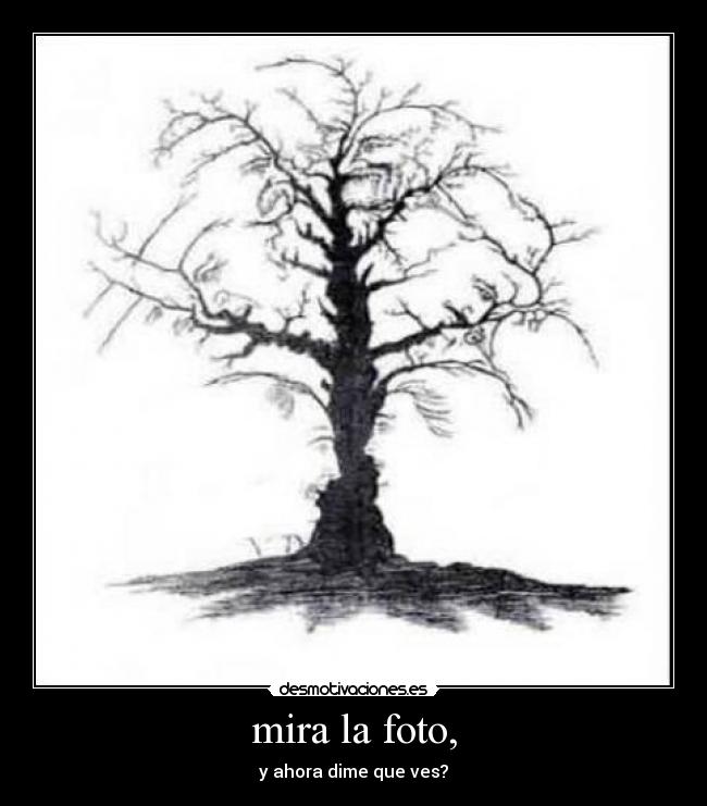 mira la foto, - y ahora dime que ves?