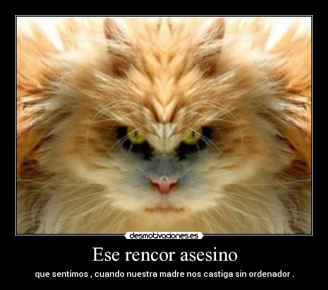 Ese rencor asesino - que sentimos , cuando nuestra madre nos castiga sin ordenador .