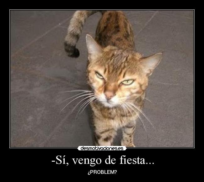 -Sí, vengo de fiesta... -