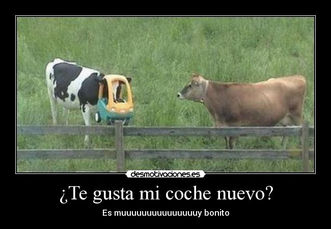 ¿Te gusta mi coche nuevo? -