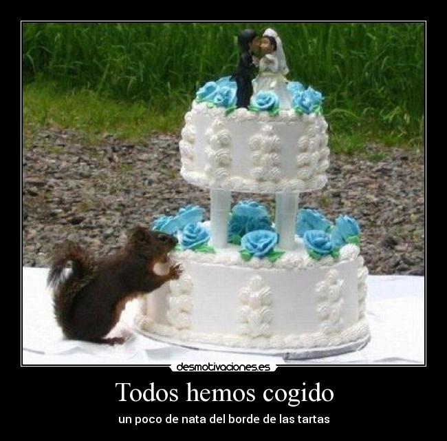 Todos hemos cogido - un poco de nata del borde de las tartas
