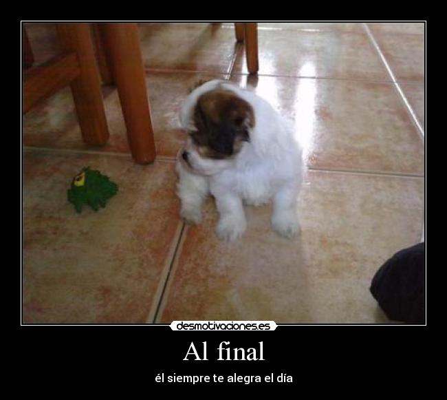Al final - él siempre te alegra el día