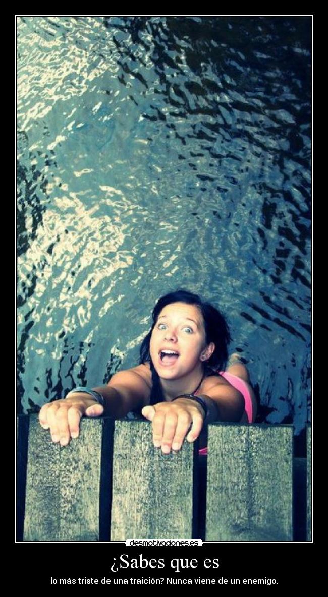 carteles traicion desmotivaciones