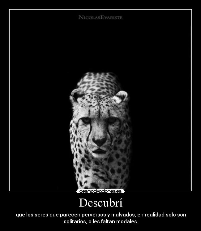 Descubrí -