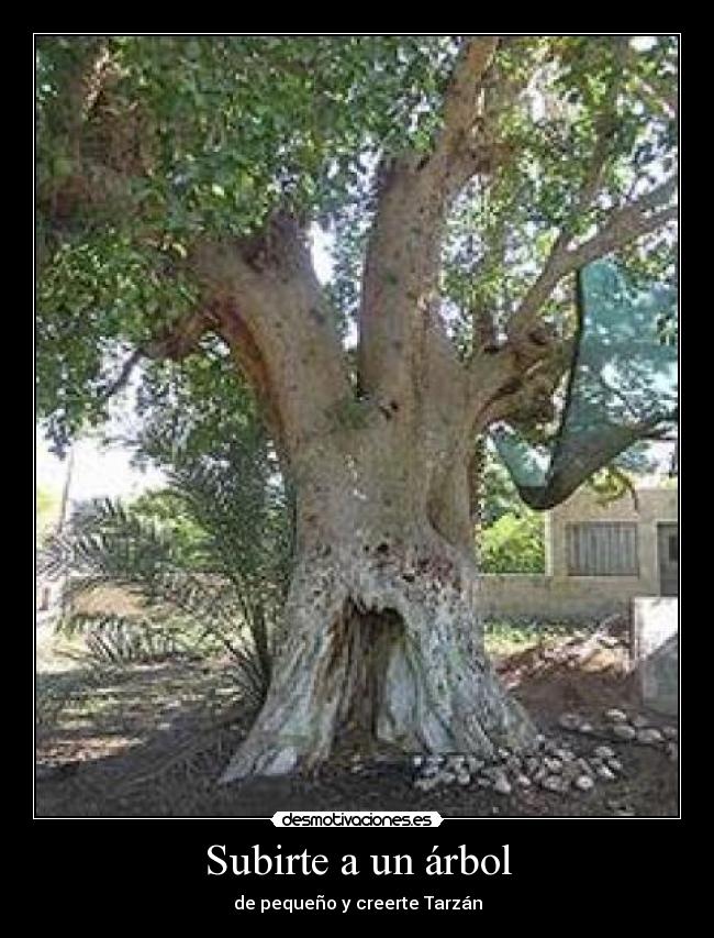 Subirte a un árbol - de pequeño y creerte Tarzán