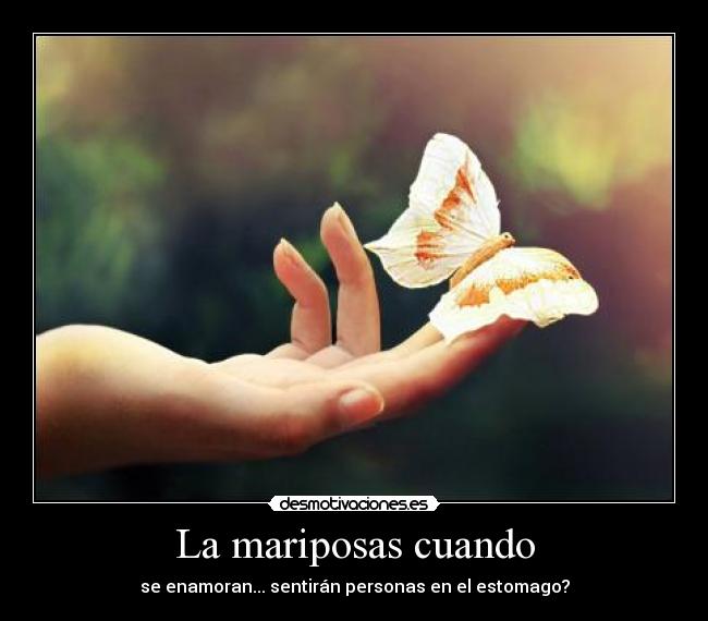 La mariposas cuando - se enamoran... sentirán personas en el estomago?