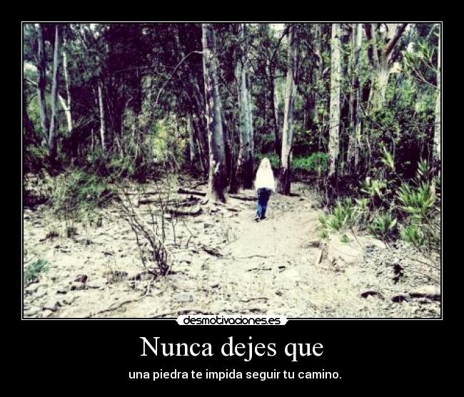 Nunca dejes que - 