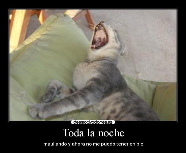 Toda la noche - 