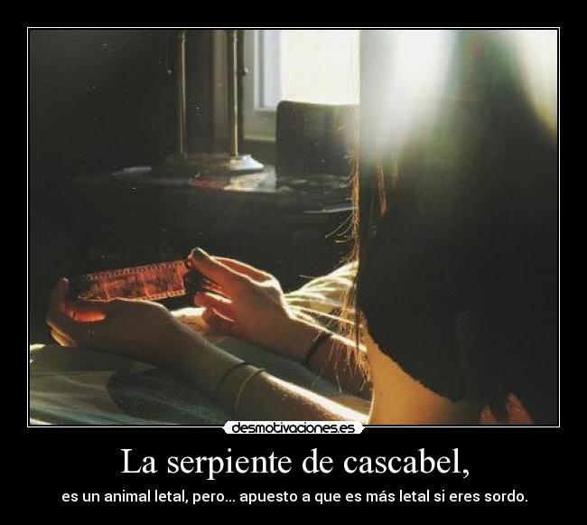 La serpiente de cascabel, - es un animal letal, pero... apuesto a que es más letal si eres sordo.