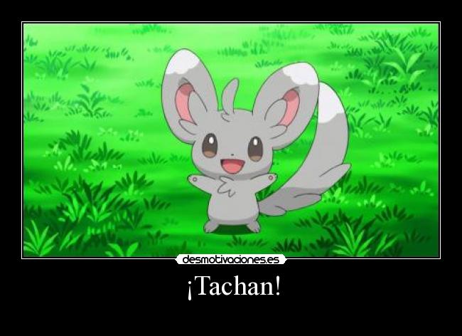 ¡Tachan! - 