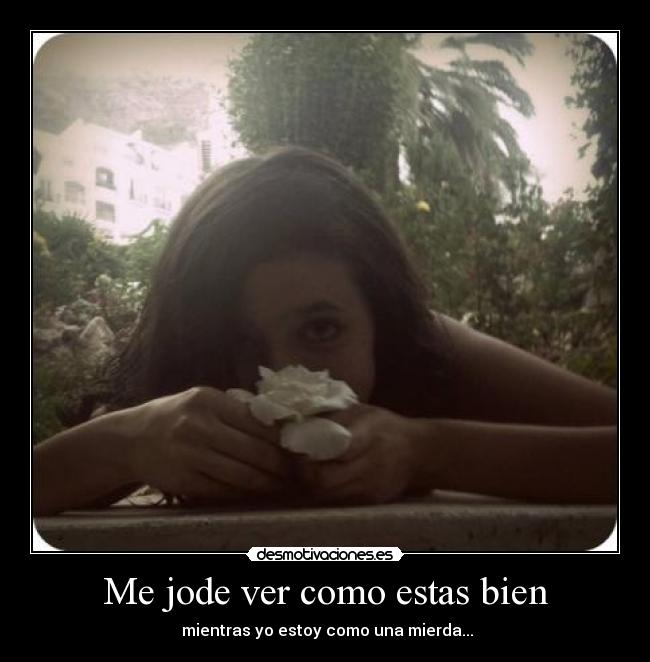 Me jode ver como estas bien -