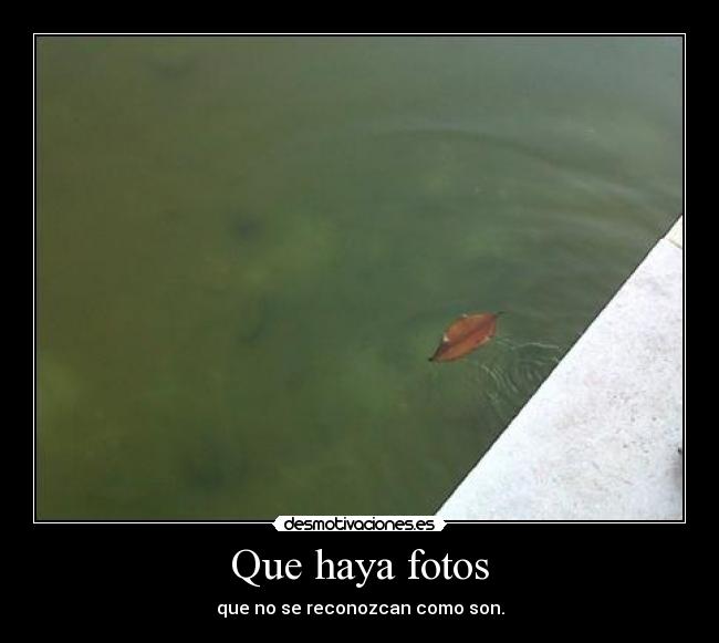 Que haya fotos -