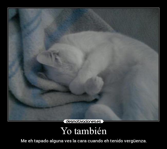 Yo también - 
