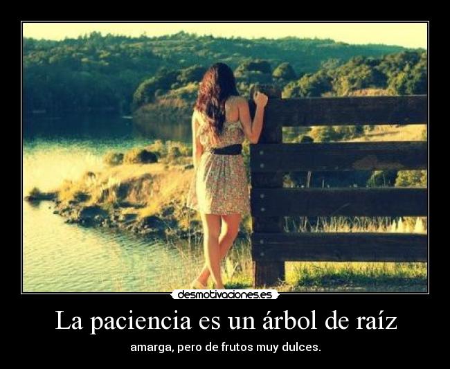 La paciencia es un árbol de raíz -