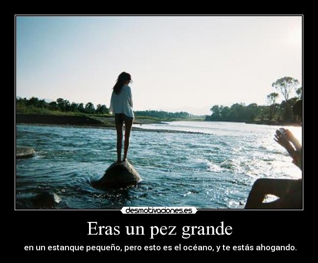 Eras un pez grande - 