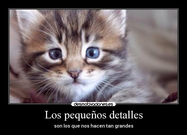 Los pequeños detalles -