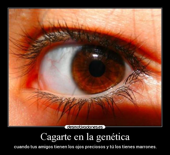 Cagarte en la genética - cuando tus amigos tienen los ojos preciosos y tú los tienes marrones.