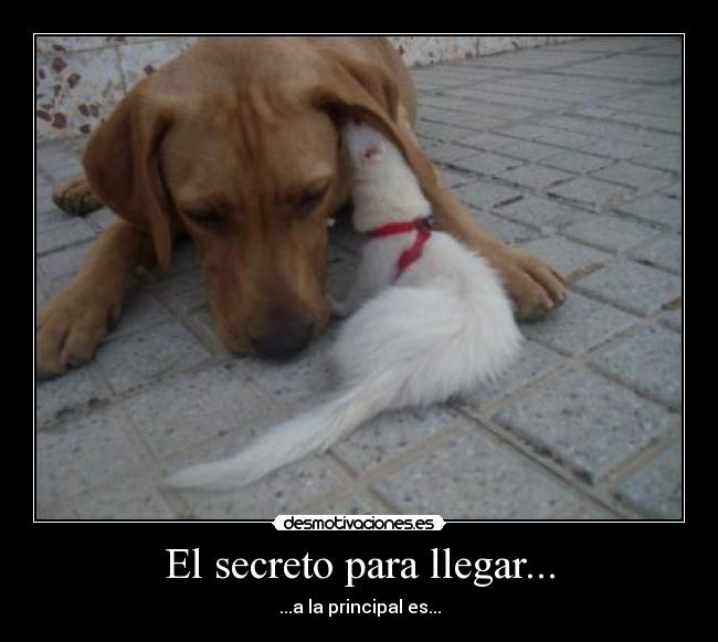 El secreto para llegar... - 