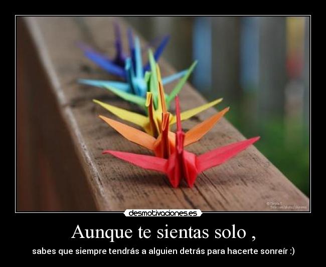 Aunque te sientas solo , - sabes que siempre tendrás a alguien detrás para hacerte sonreír :)