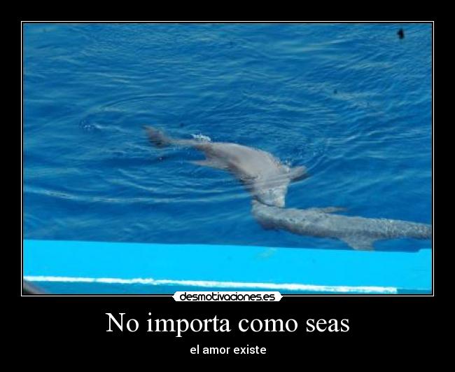 No importa como seas - el amor existe