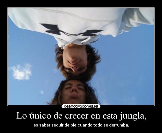 Lo único de crecer en esta jungla, -