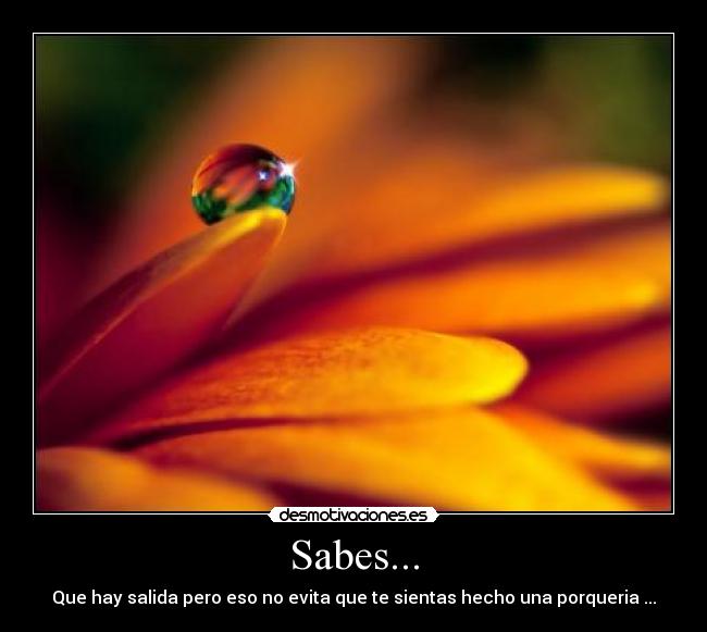 Sabes... - Que hay salida pero eso no evita que te sientas hecho una porqueria ...