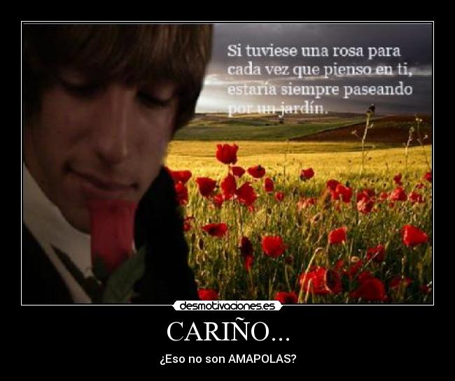 CARIÑO... -