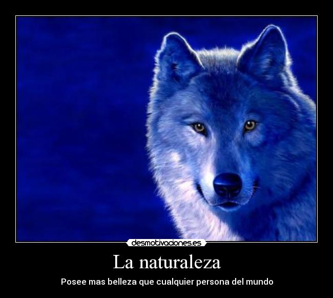 La naturaleza - Posee mas belleza que cualquier persona del mundo