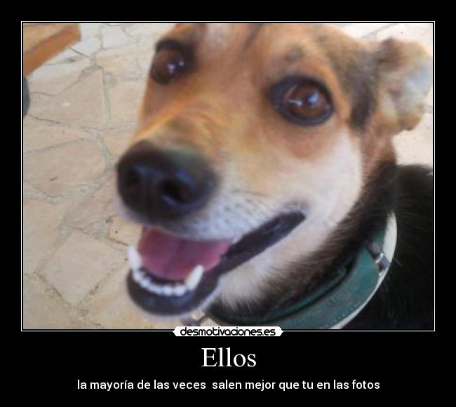 Ellos - la mayoría de las veces  salen mejor que tu en las fotos