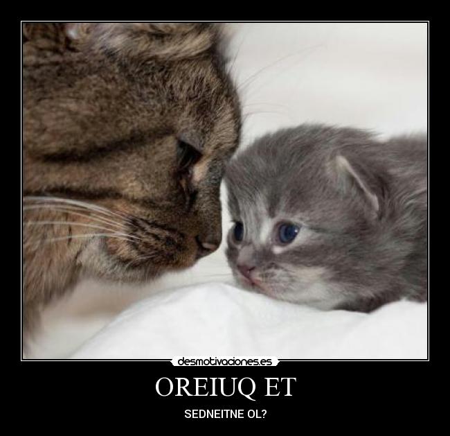 OREIUQ ET - SEDNEITNE OL?