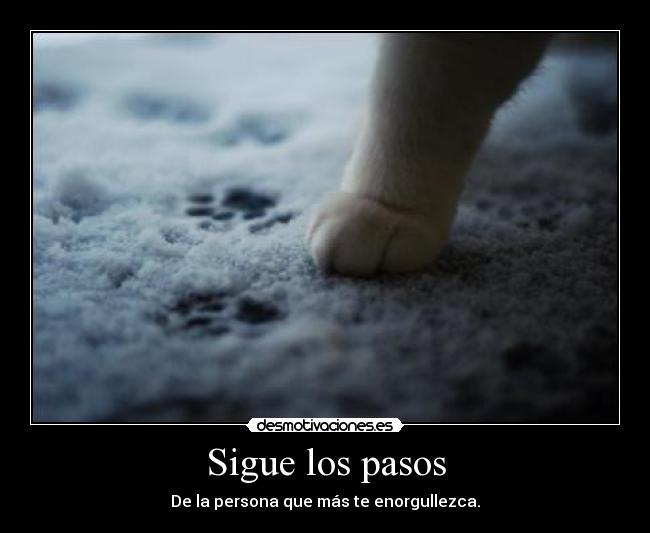 Sigue los pasos - 