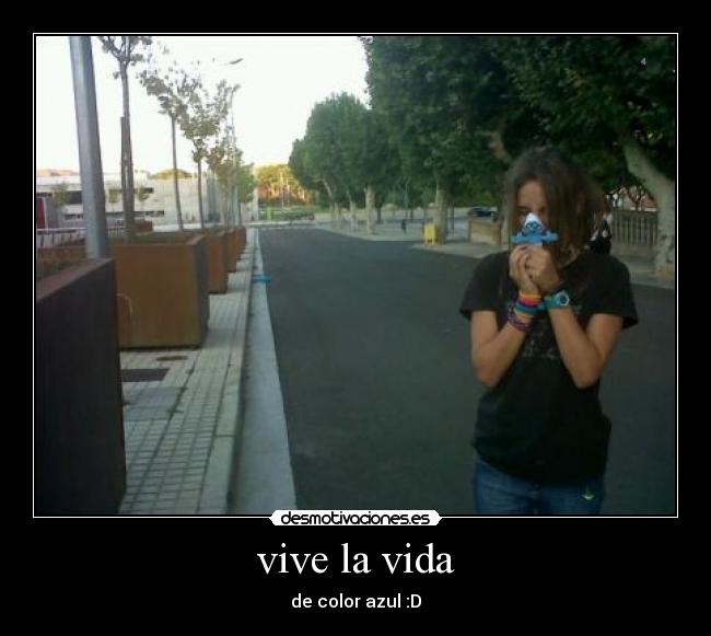 vive la vida - 