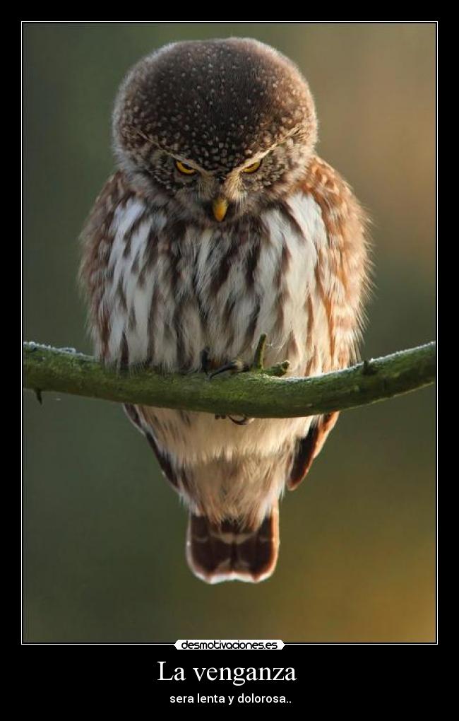 La venganza - sera lenta y dolorosa..