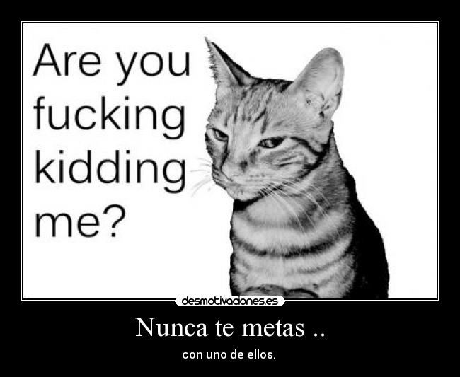Nunca te metas .. - 