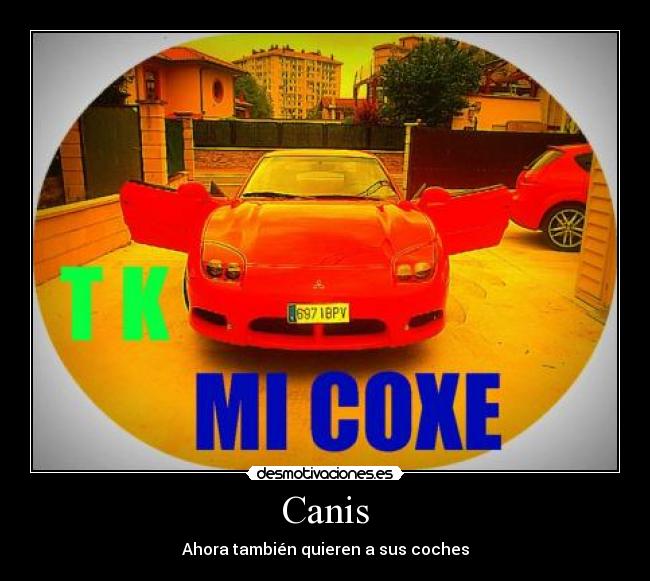 Canis - Ahora también quieren a sus coches