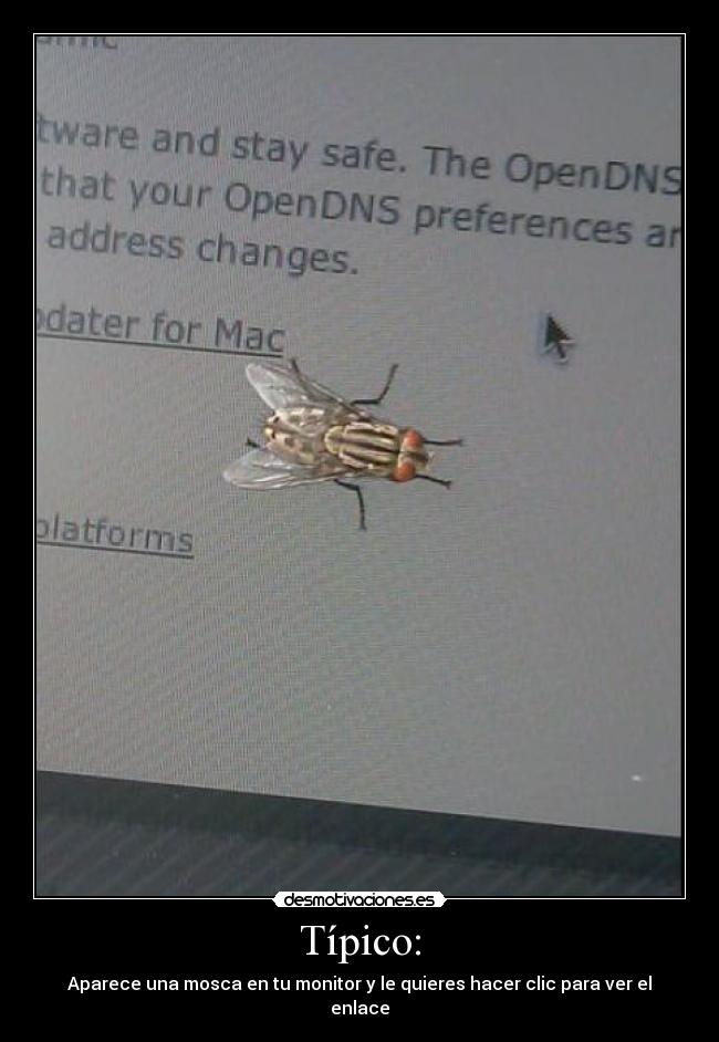 Típico: - Aparece una mosca en tu monitor y le quieres hacer clic para ver el enlace