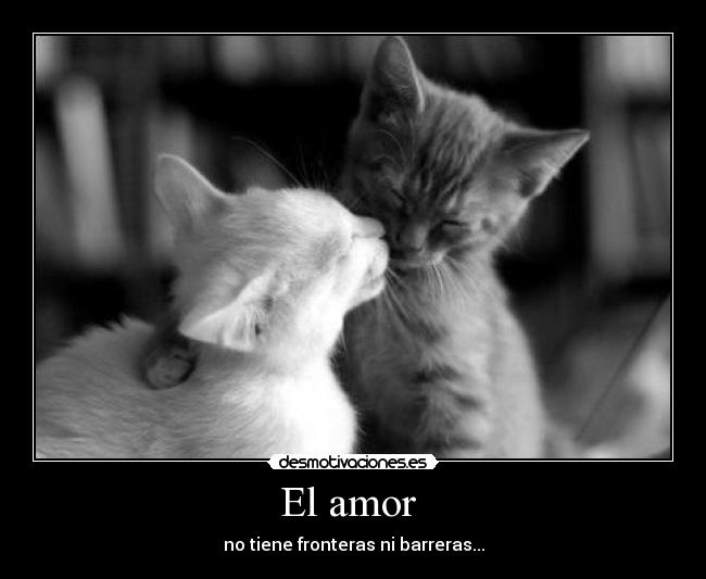 El amor -
