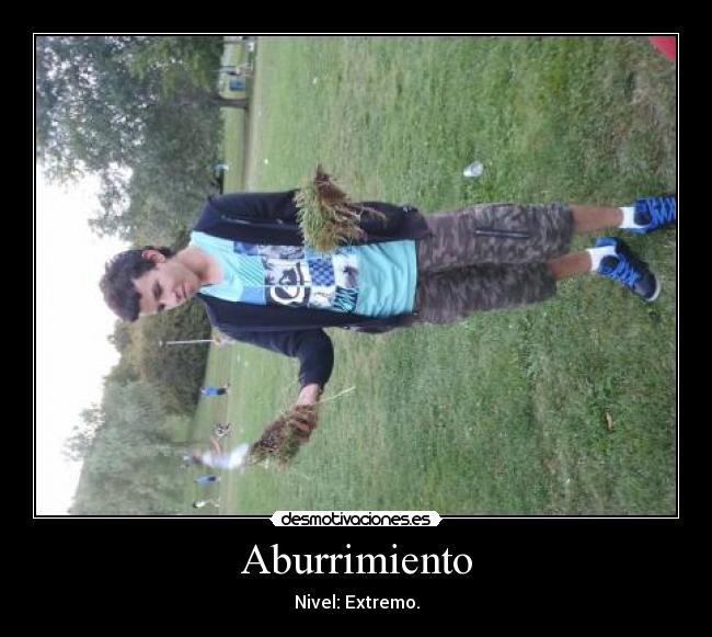 carteles aburrimiento lol desmotivaciones