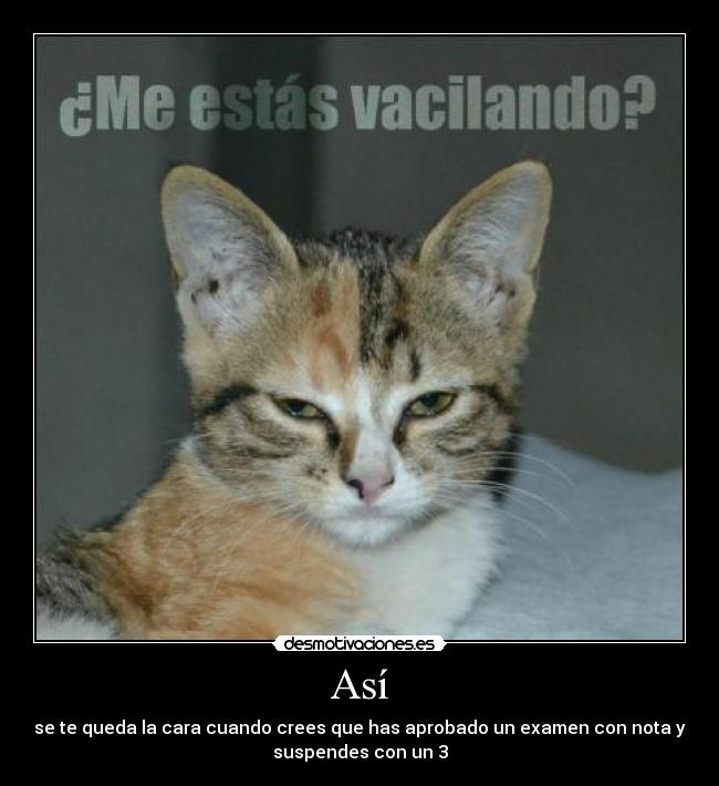 Así - se te queda la cara cuando crees que has aprobado un examen con nota y
suspendes con un 3