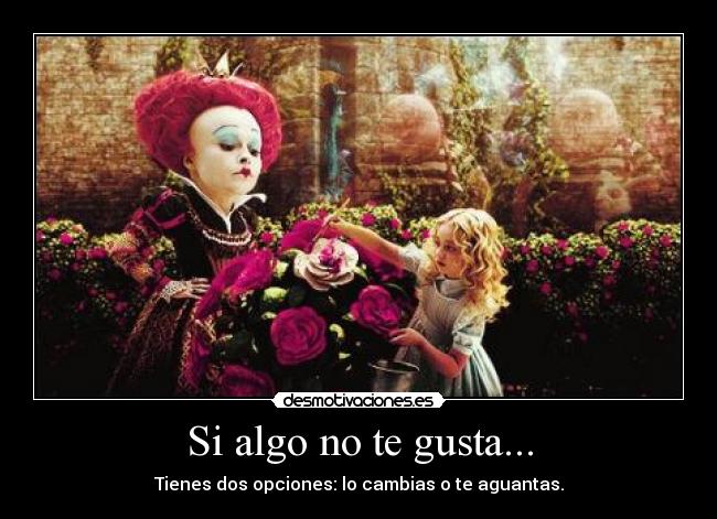 Si algo no te gusta... - 