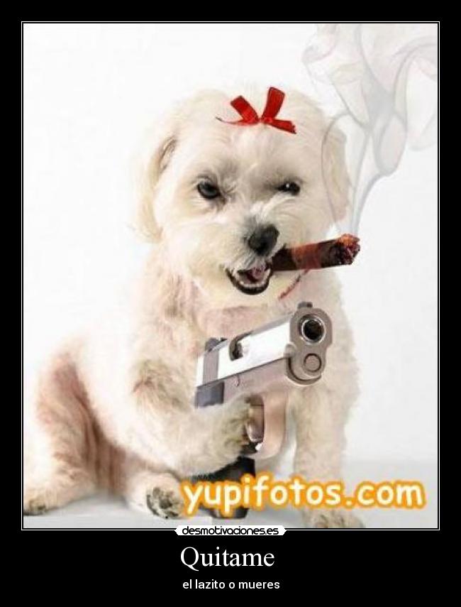 carteles tokris desmotivaciones