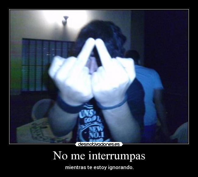 No me interrumpas - mientras te estoy ignorando.