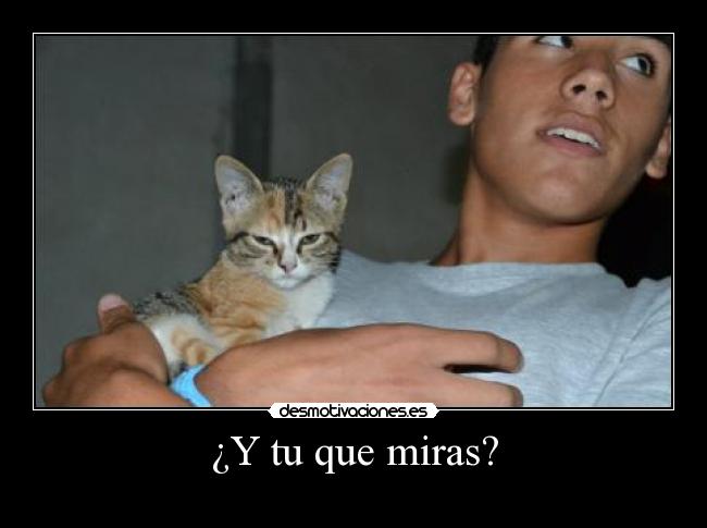 ¿Y tu que miras? -
