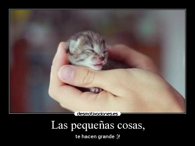 Las pequeñas cosas, -