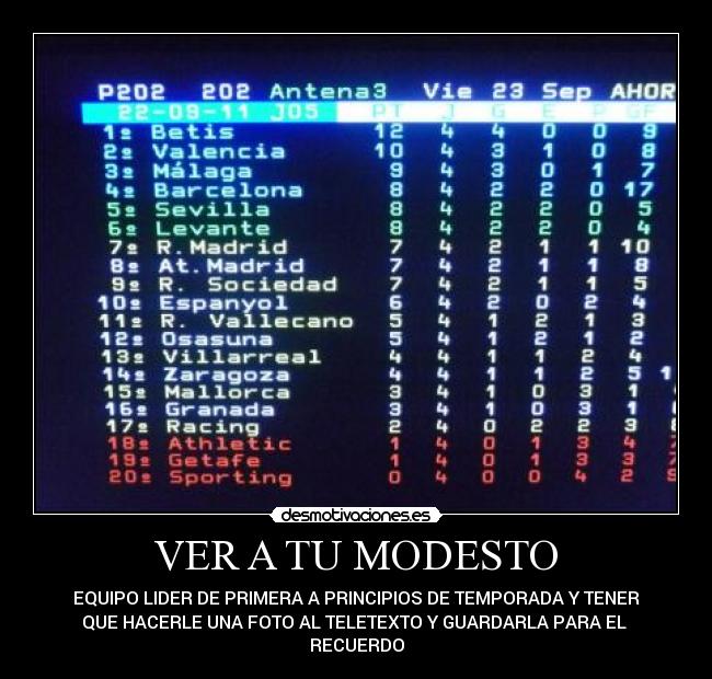 VER A TU MODESTO - 