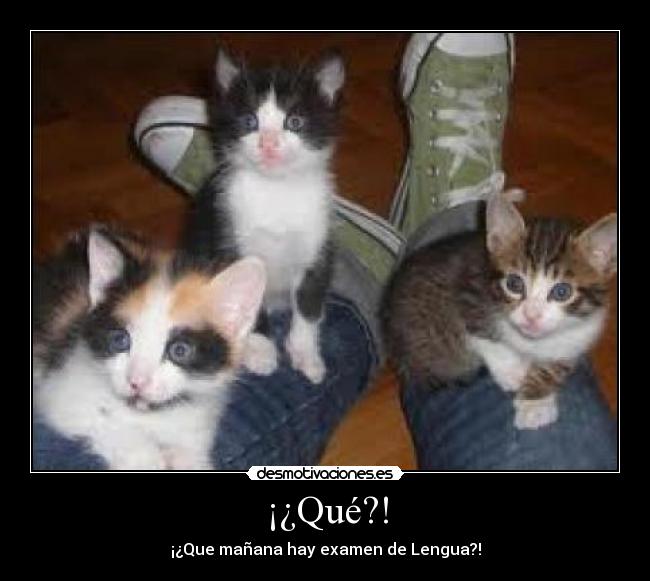 ¡¿Qué?! - ¡¿Que mañana hay examen de Lengua?!